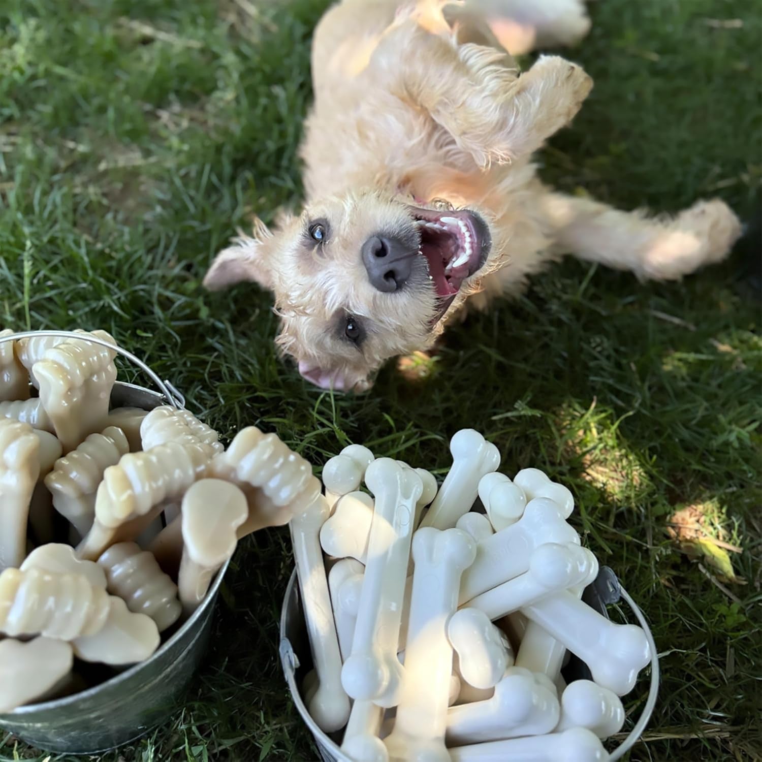 Original Power Chew Dog Toy, Durable Chew for Aggressive Chewers, Bacon & Chicken Flavor, Medium Size (up to 35 lbs), 2 Pack