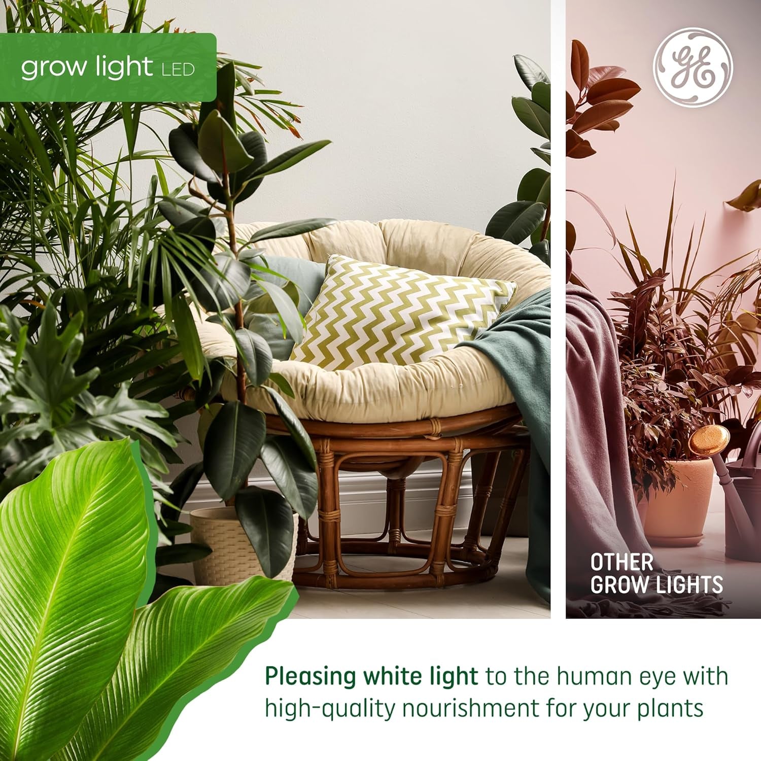 PAR38 LED Grow Light Bulb - Indoor Flood Light for Plants, Seeds, and Greens with Balanced Light Spectrum, 25,000 Hour Lifespan, 50 PPF, Single Pack (Packaging May Vary)