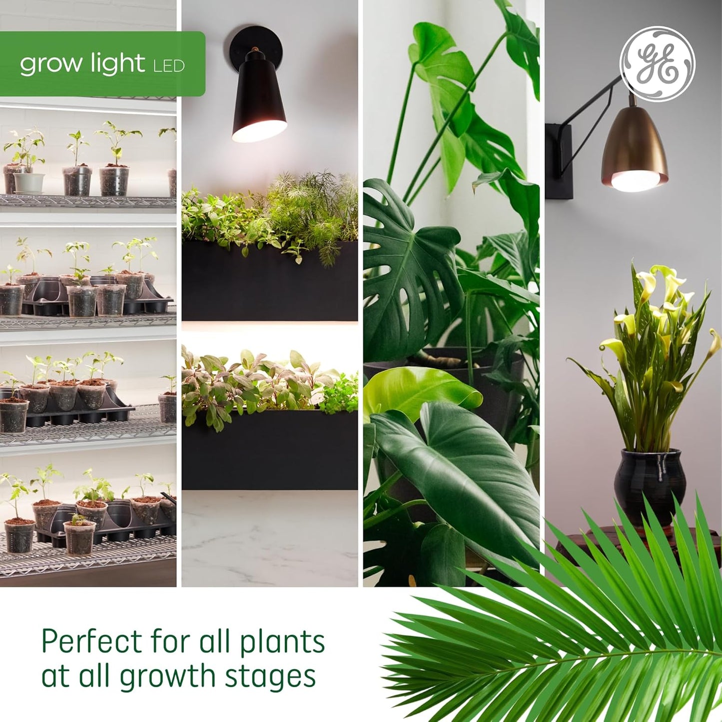 PAR38 LED Grow Light Bulb - Indoor Flood Light for Plants, Seeds, and Greens with Balanced Light Spectrum, 25,000 Hour Lifespan, 50 PPF, Single Pack (Packaging May Vary)