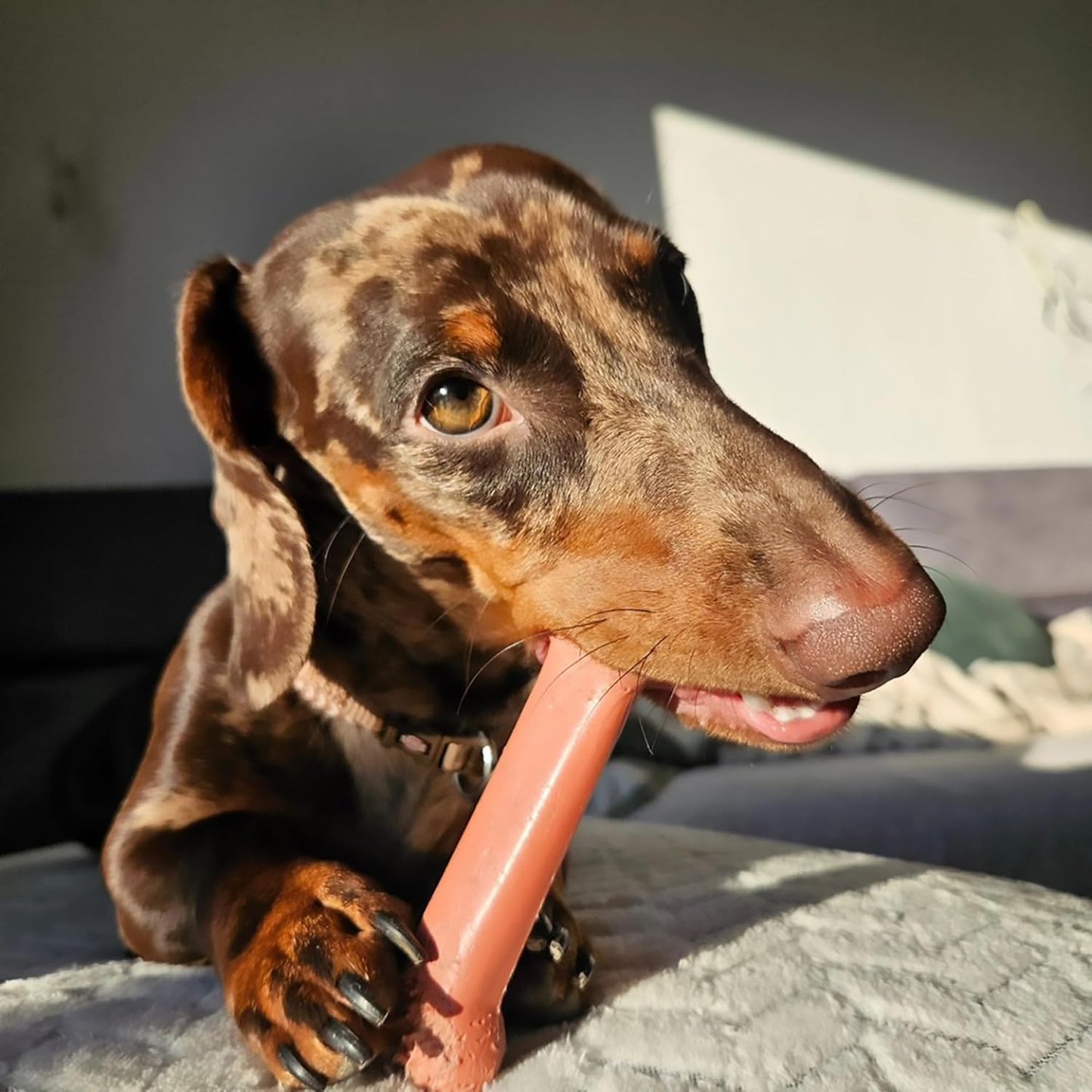 Original Power Chew Dog Toy, Durable Chew for Aggressive Chewers, Bacon & Chicken Flavor, Medium Size (up to 35 lbs), 2 Pack